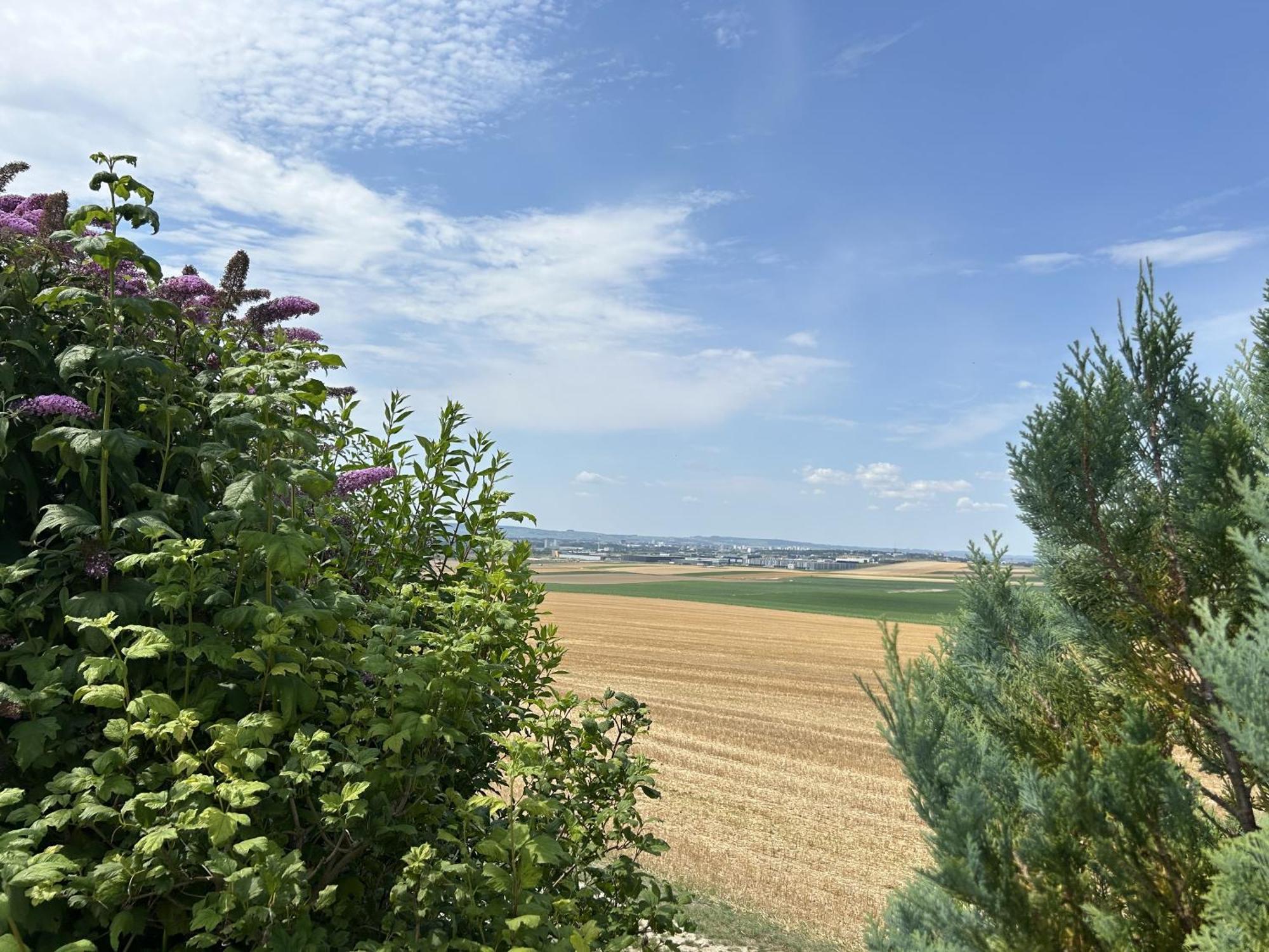 L'Intemporel Cernay-les-Reims Esterno foto