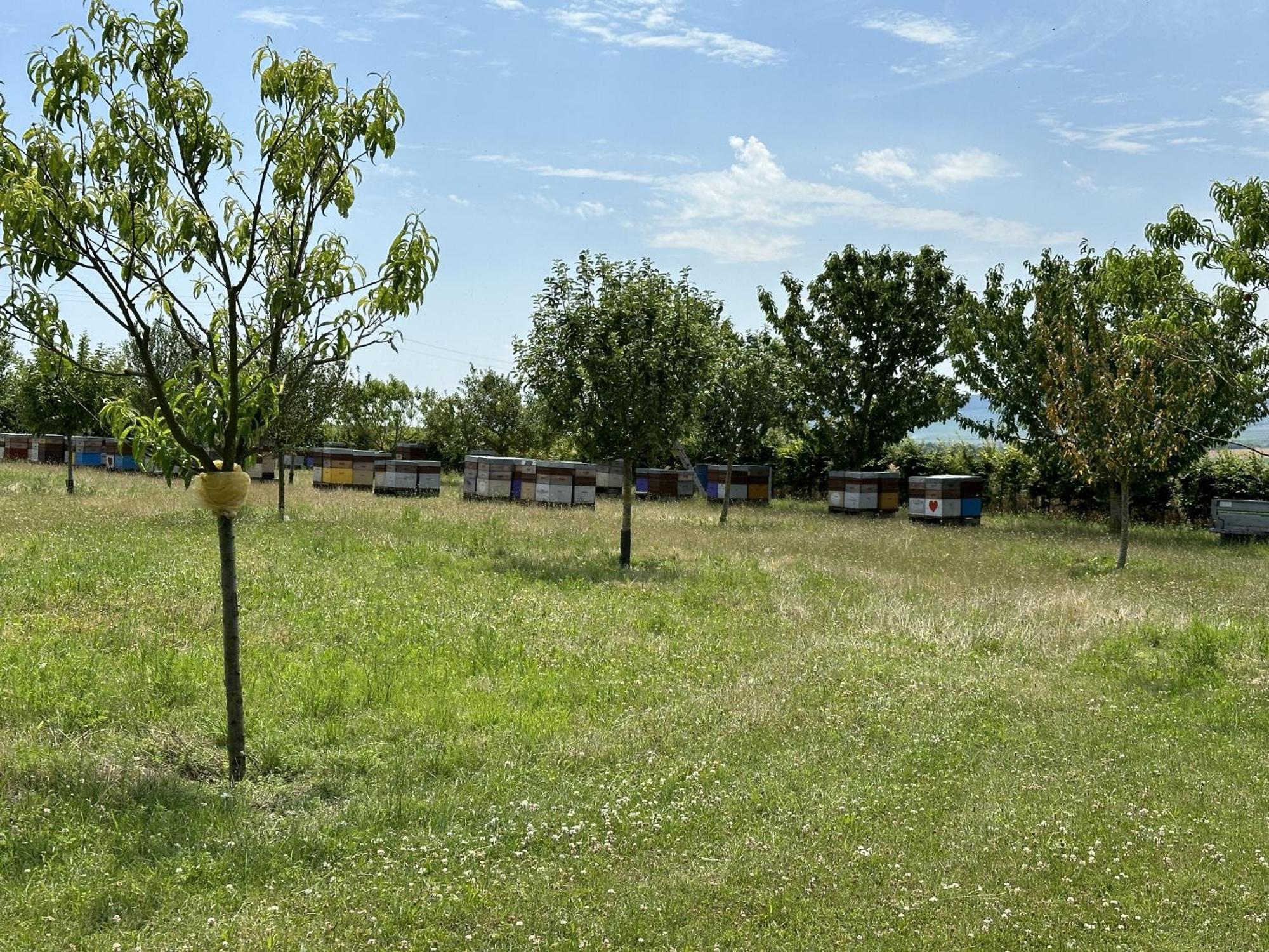 L'Intemporel Cernay-les-Reims Esterno foto